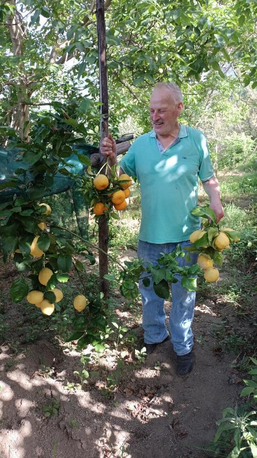 B&B Il Limoneto Граняно Екстериор снимка